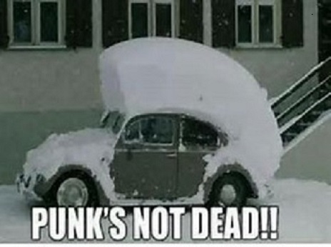 punksnotdead - Copie.jpg