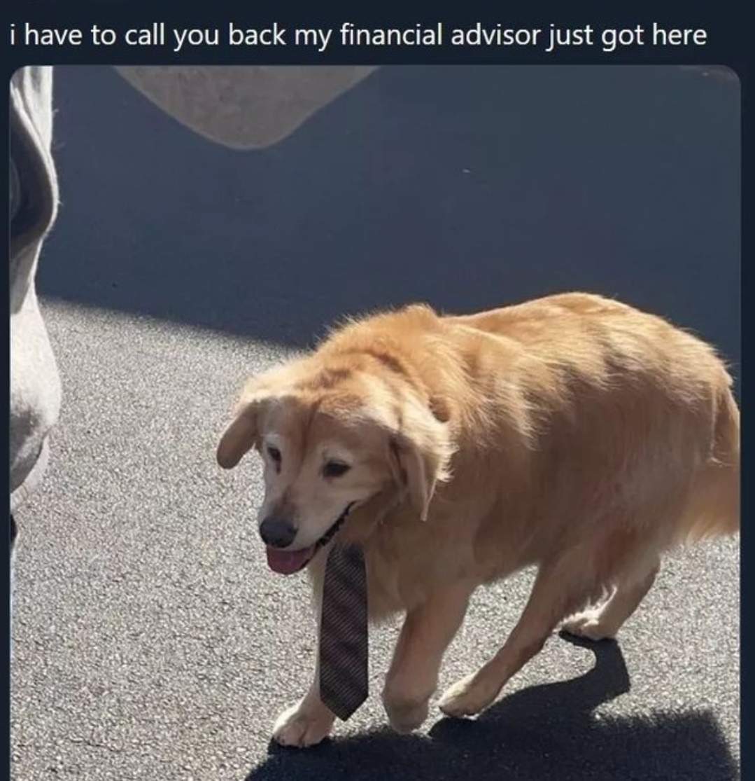 pup advisor.jpg