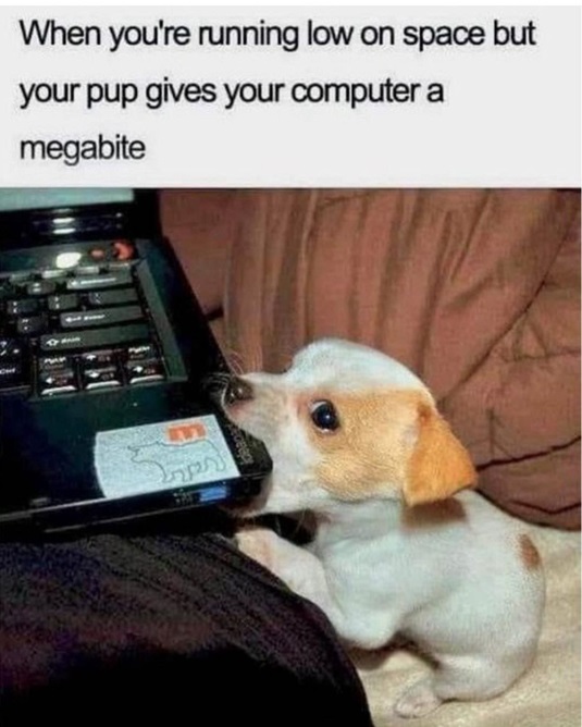 pup pc.jpg