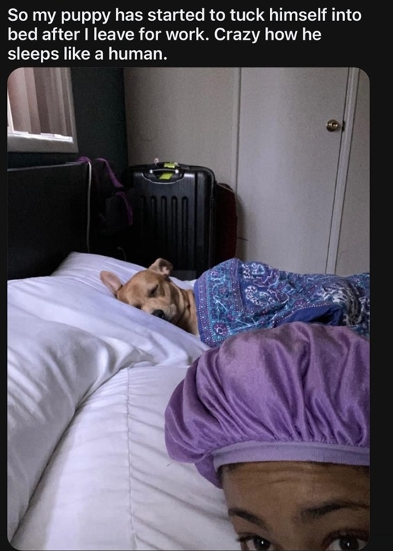 pup sleep.jpg