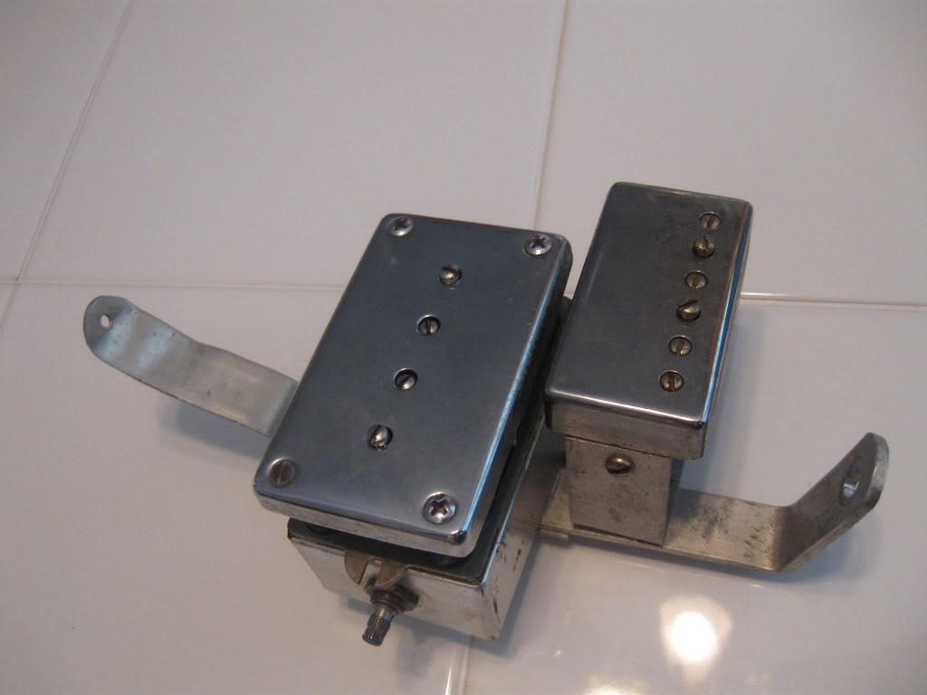 pup008.jpg