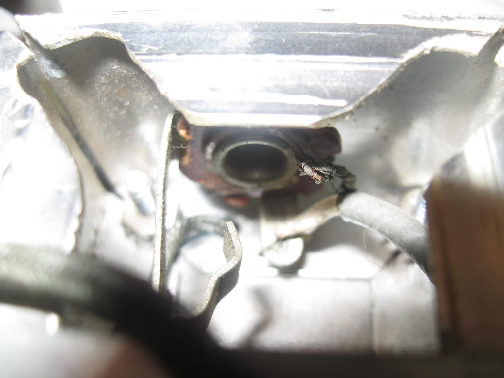 pup012.jpg