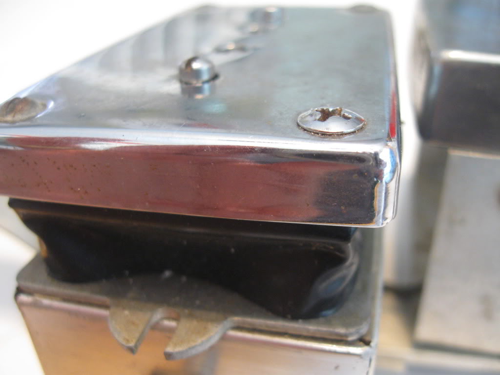 pup015.jpg