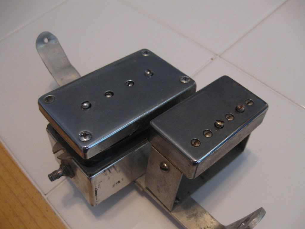 pup017.jpg