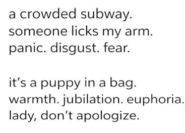 puppy lick.jpg