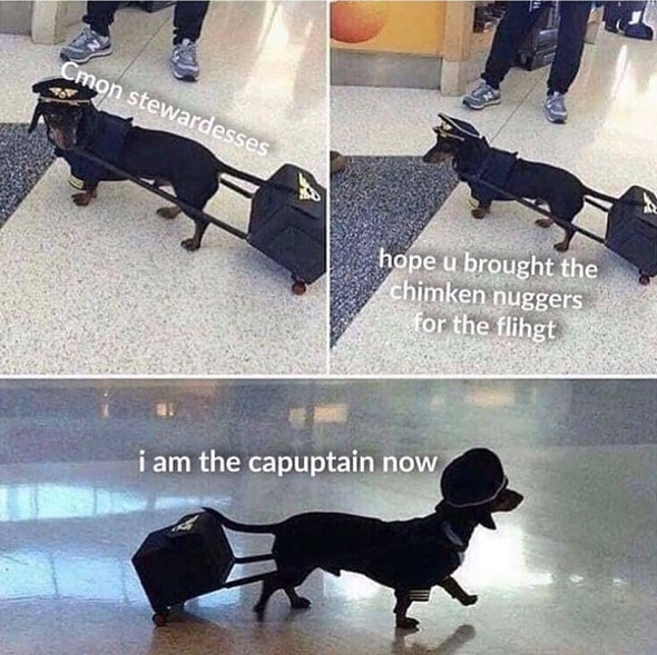 puptain.jpg