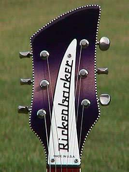 purhead35093.jpg