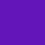 Purple.jpg