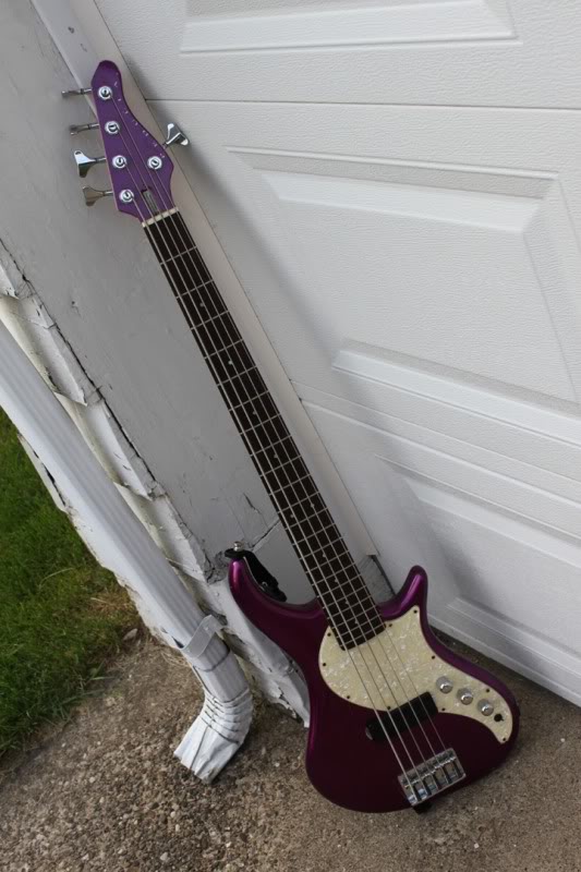 purple1.jpg