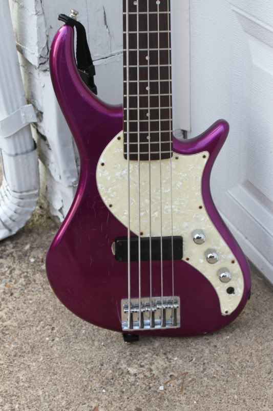 purple2.jpg