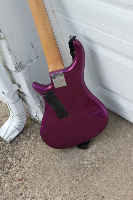purple3.jpg