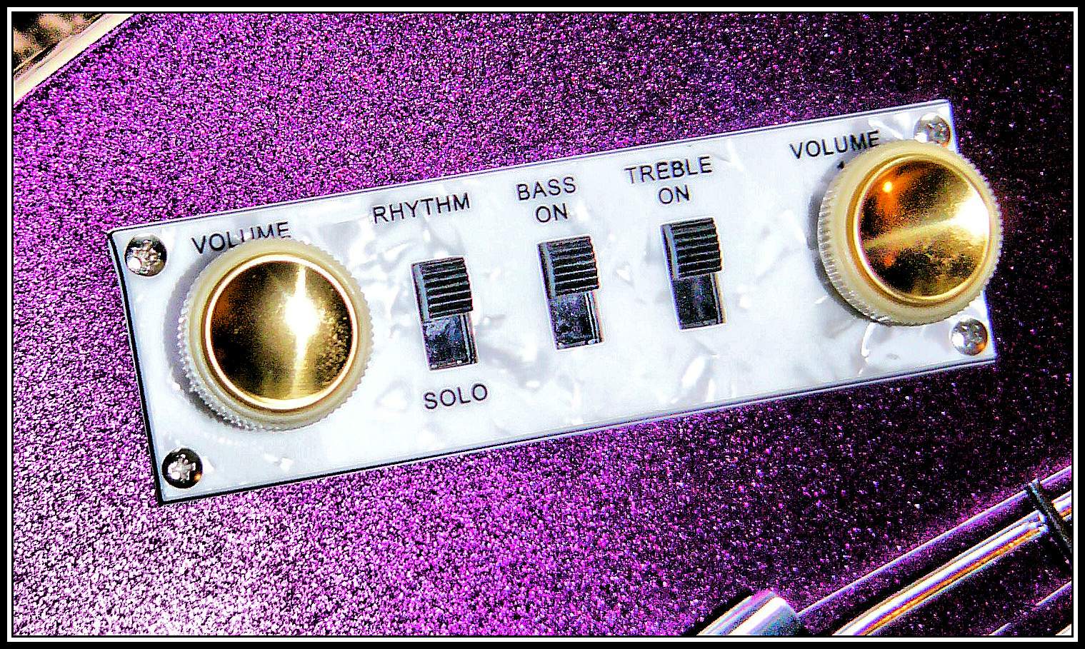 purplecontrol.jpg