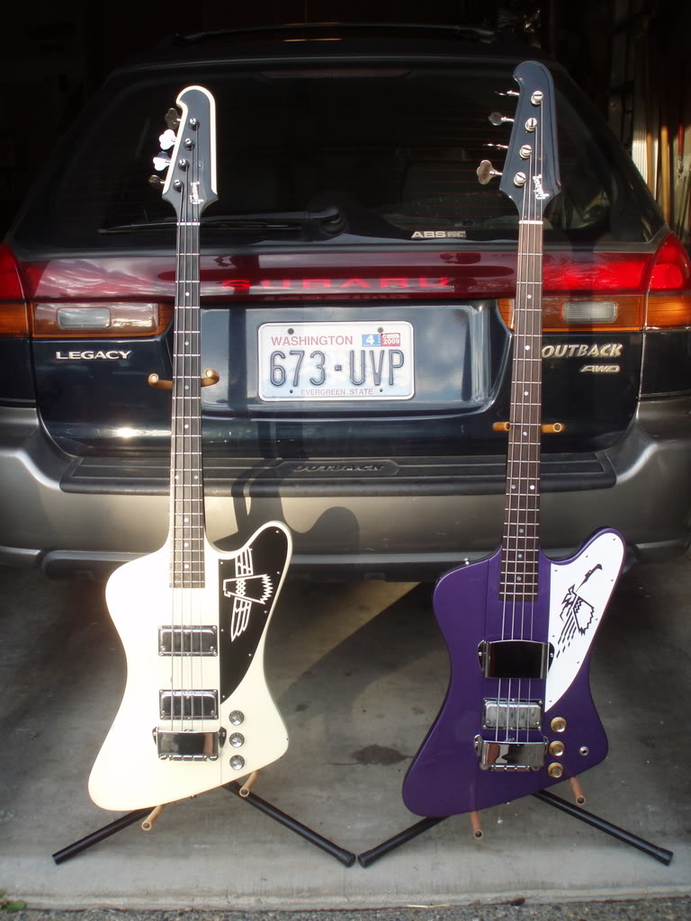 purplewhite2.jpg