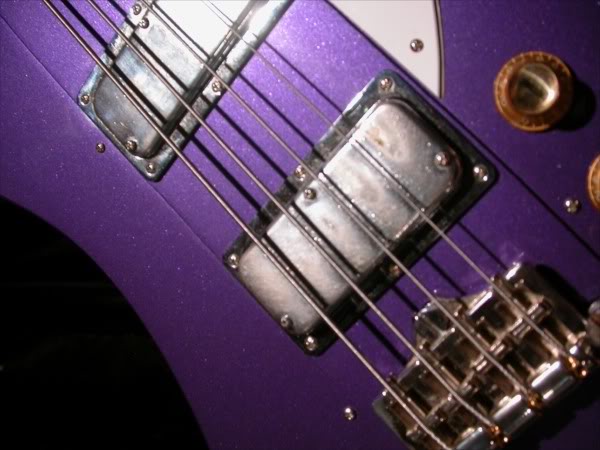 PurpleZoom.jpg