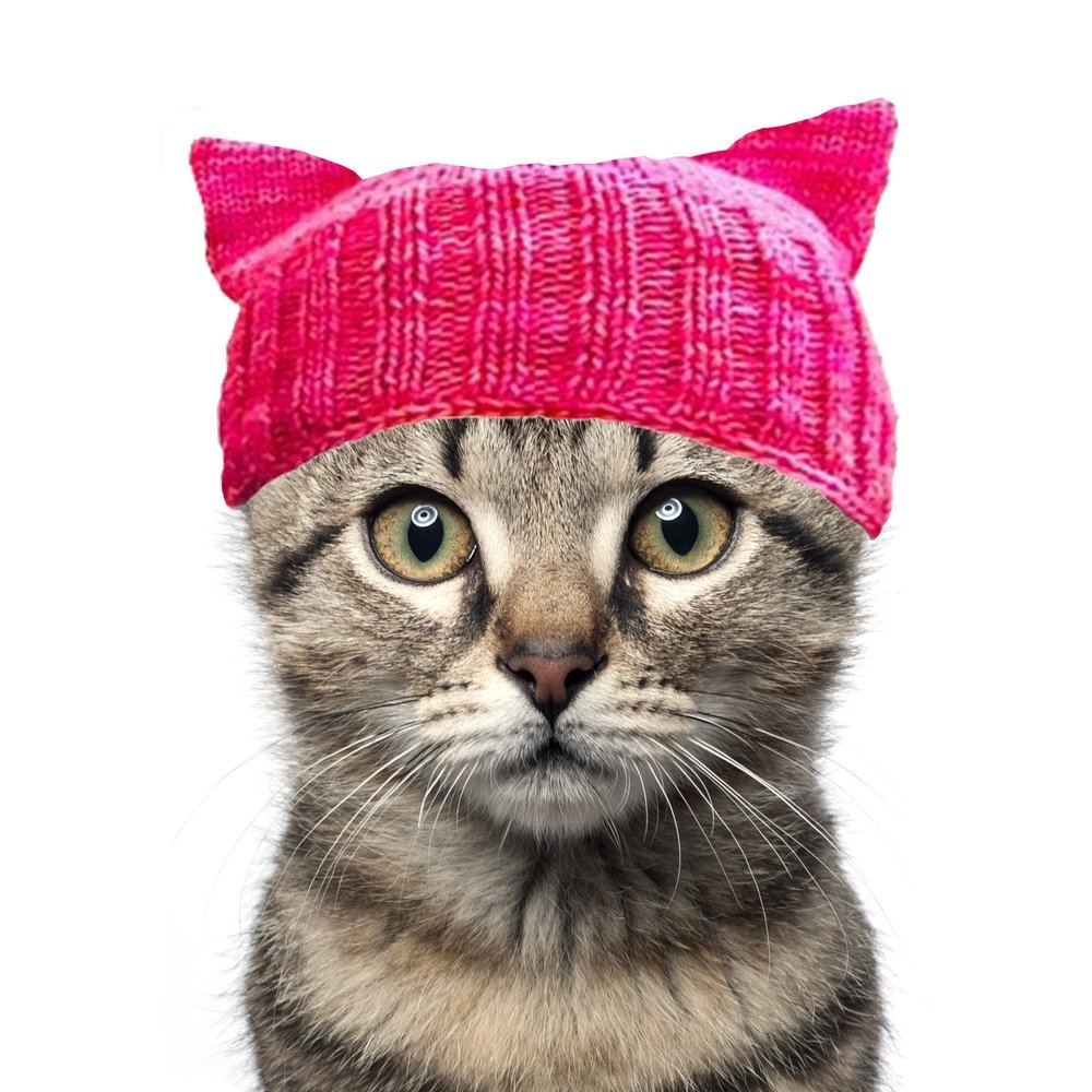 pussyhat2.jpg