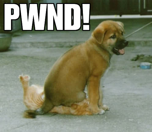 pwnd.jpg