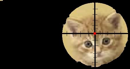 pwnedkitten.jpg