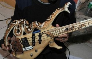 PythonGuitar-300x194.jpg
