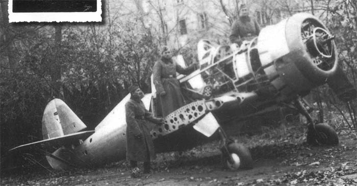 pzl50-1.jpg