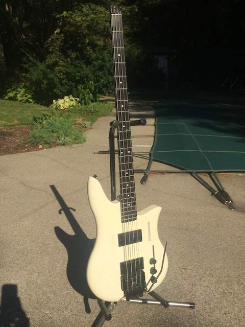 Q4 Steinberger.jpeg