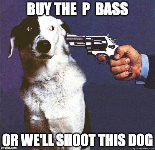 qpn2z.jpg