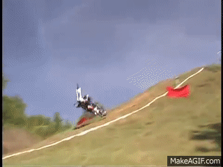 -qzj-_.gif