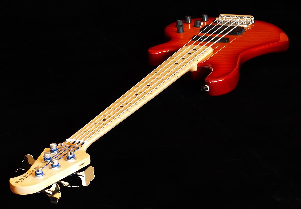 r73l83.jpg