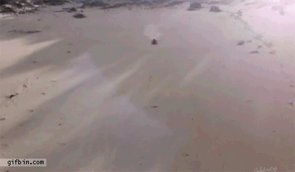 r9EK3.gif