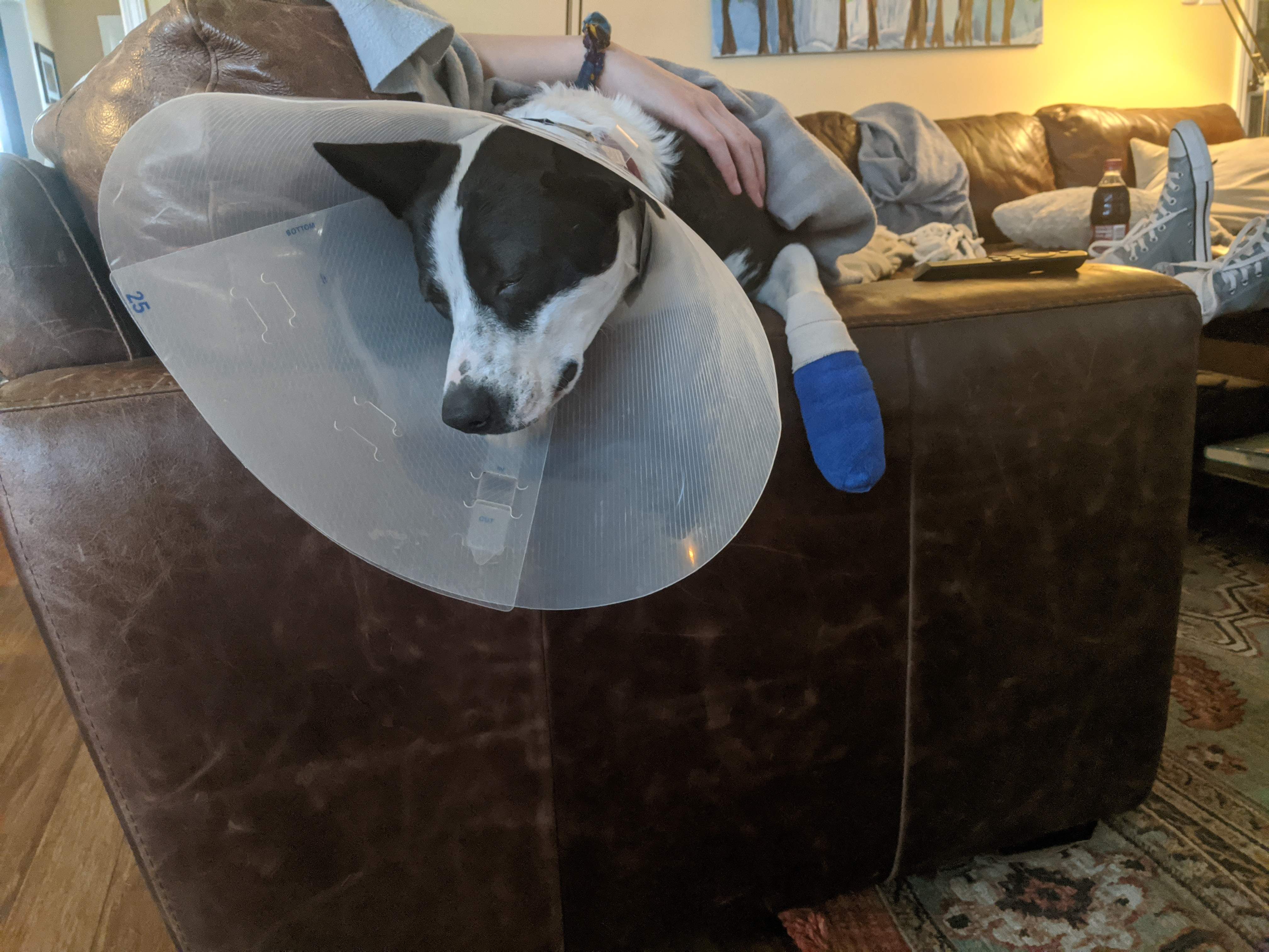 R_Cone.jpg