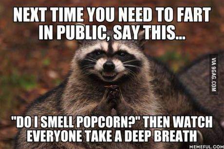 Racoon...the evil Panda.jpg