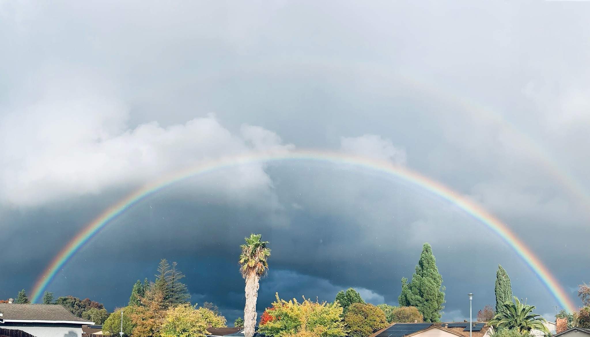 Rainbow (David's pic) - 11-8-2022.jpg