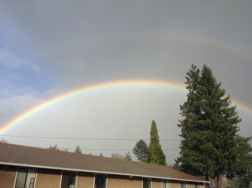 Rainbow.jpg