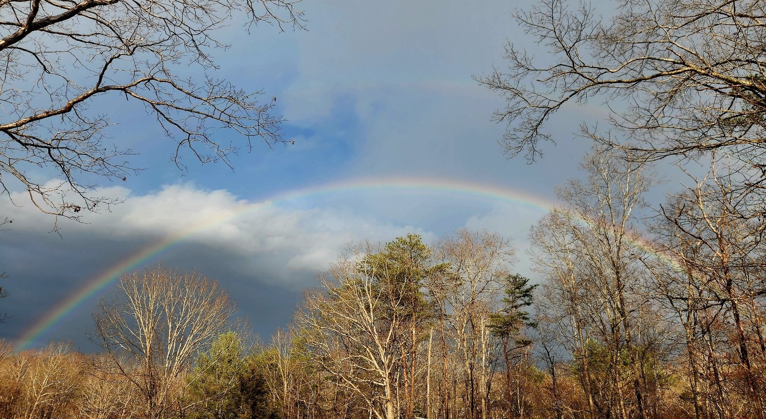Rainbow_3-7-26.jpg