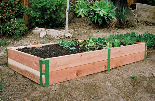 raised-bed-garden.jpg