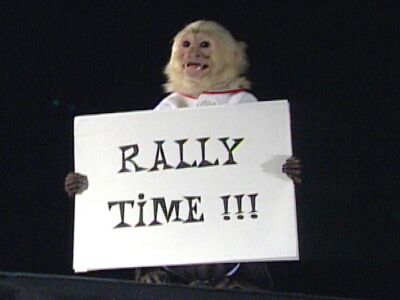 rally_monkey.jpg