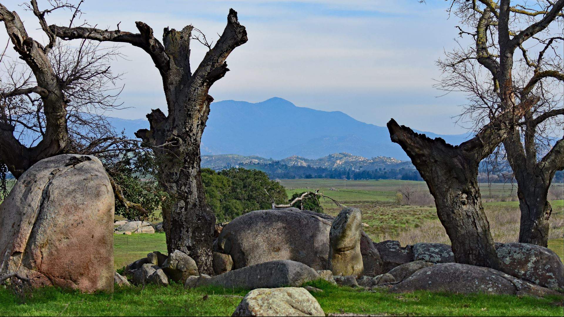 Ramona Grasslands Capture.JPG
