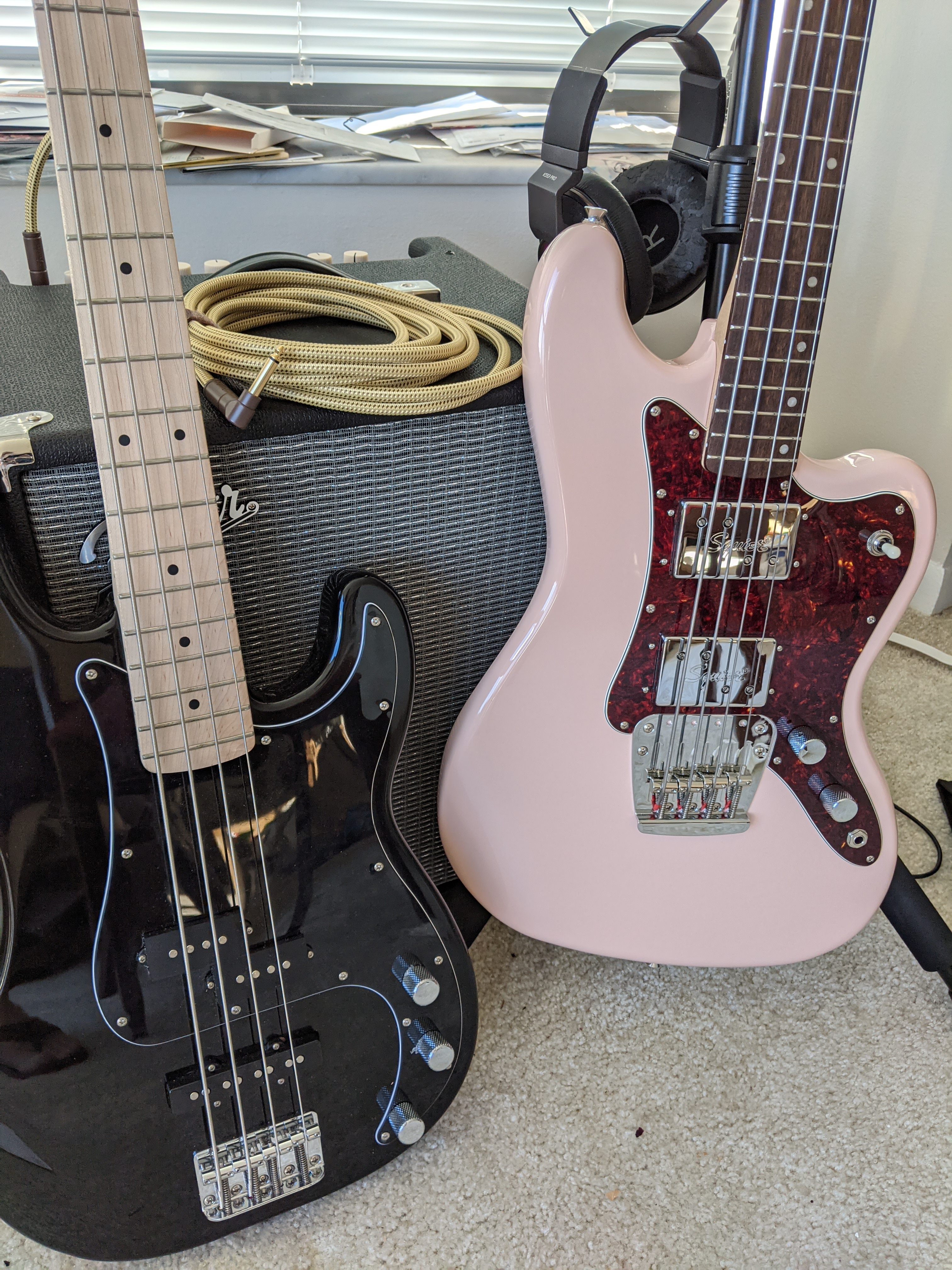 Rascal-Bass-Photo.jpg