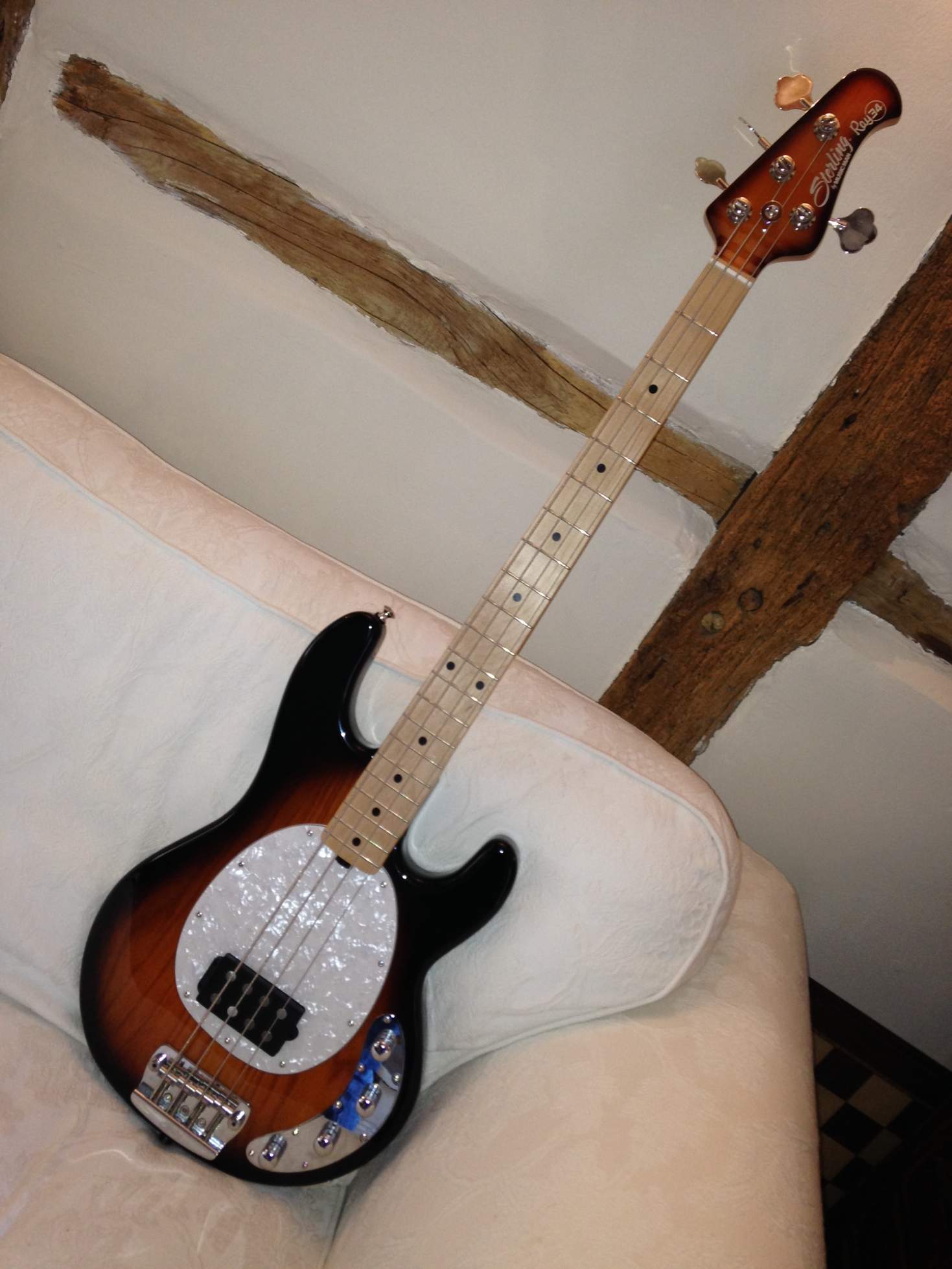 Ray_All_Front_01.jpg