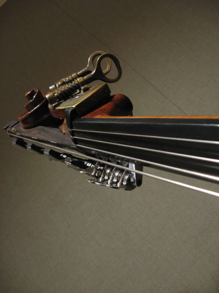RaysBass02.jpg