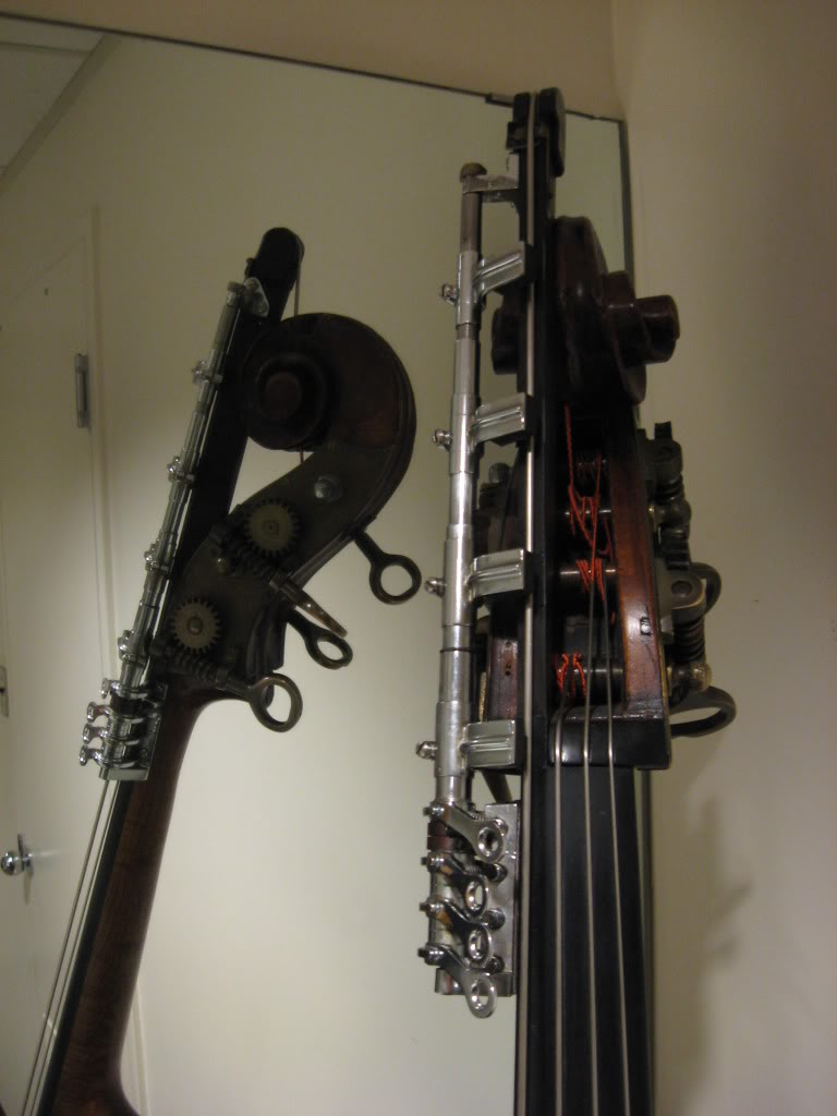 RaysBass03.jpg