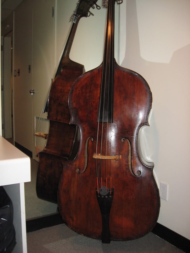 RaysBass04.jpg