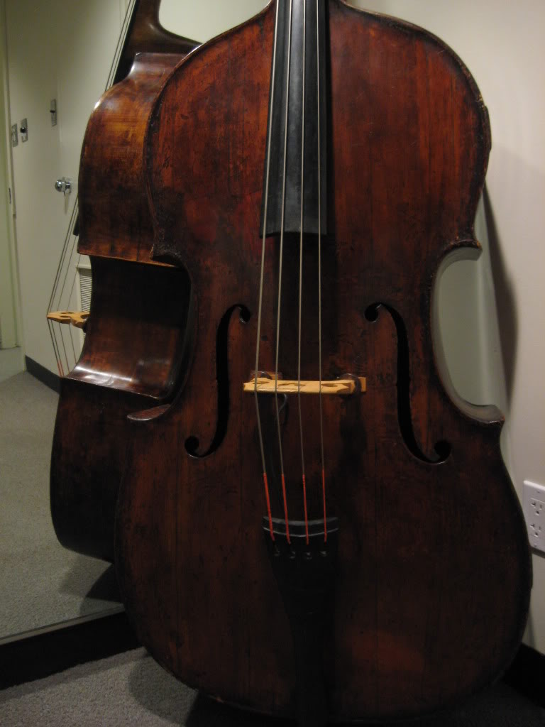 RaysBass06.jpg