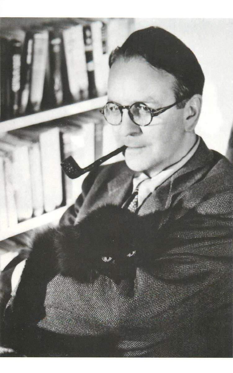 RC & cat.jpg