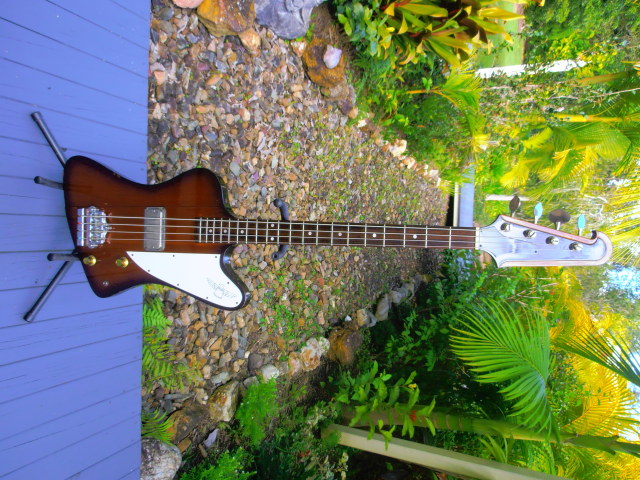 rcv8uq.jpg