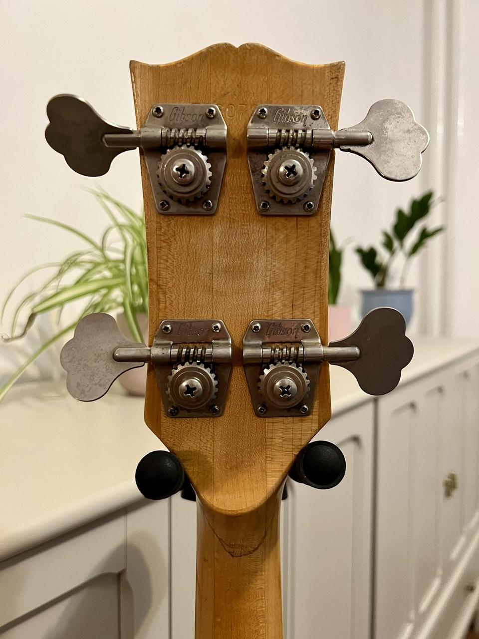 RDbass-7.jpg