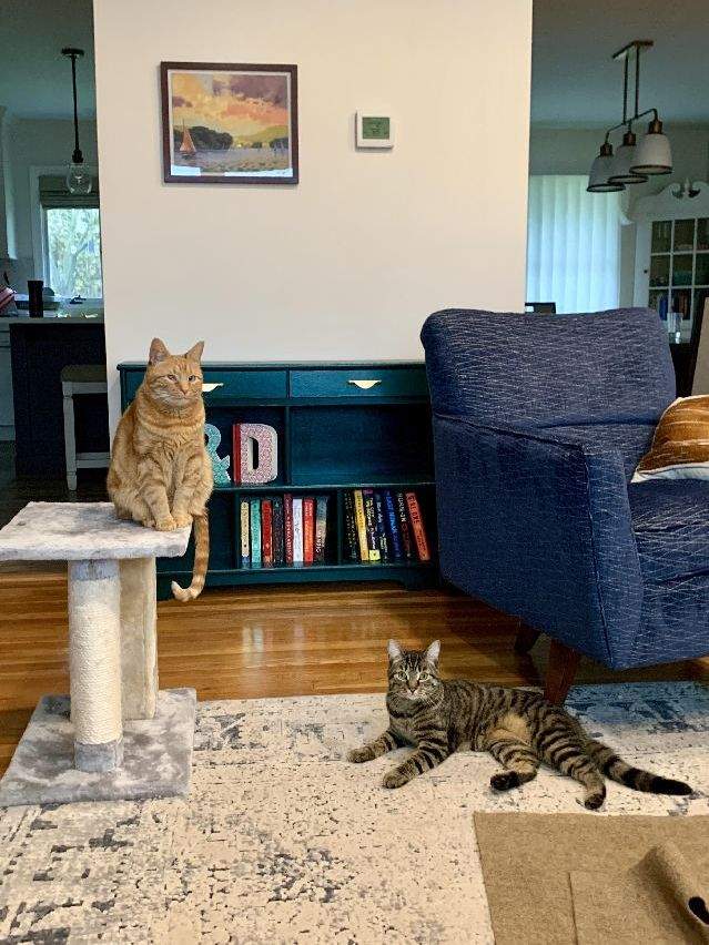 ready for lunch.jpg