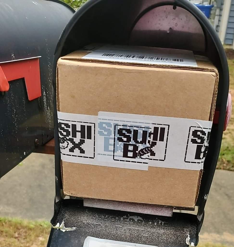 received_538594291102861.jpeg