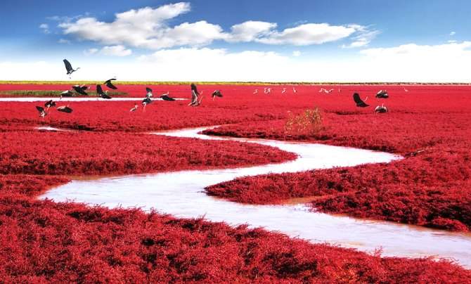 red-beach-china.jpg