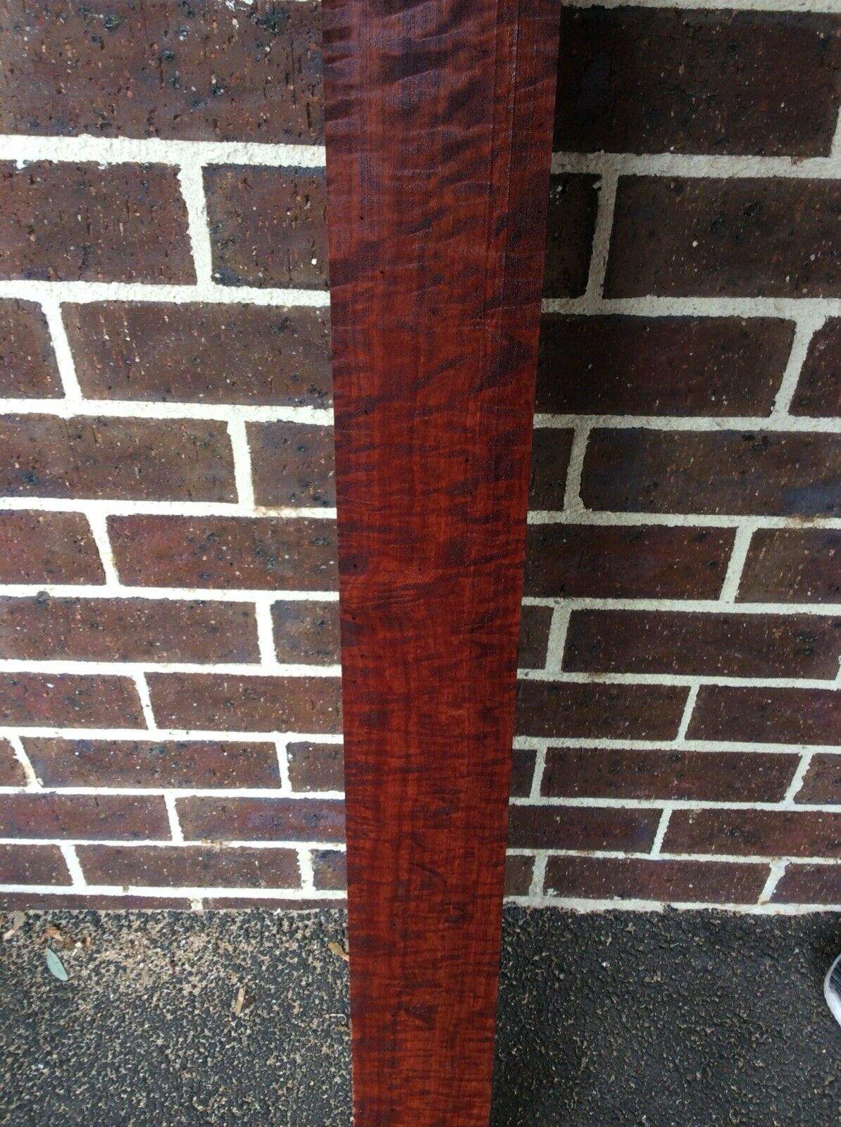 red gum 4.jpg