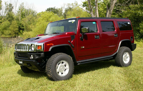red.h509.grass.600.jpg